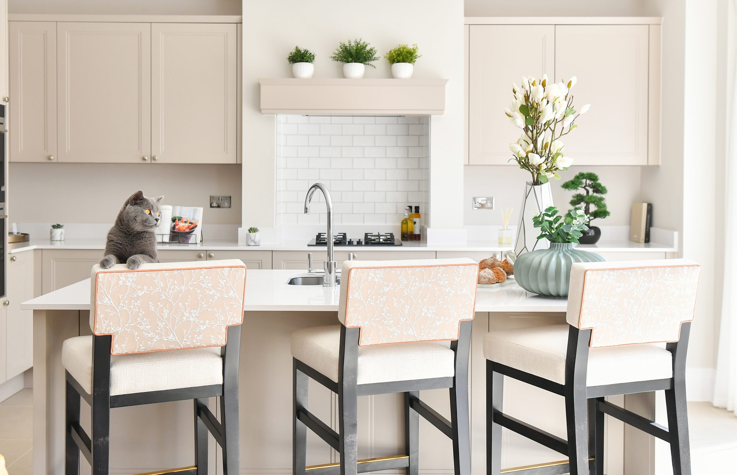 Modern kitchen with central island and cat peering over the stools